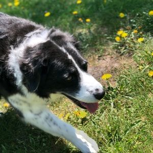 Meet your Posher, Beatrix